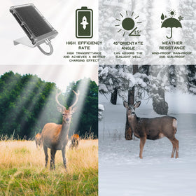 Highwild stainless steel flex shows protected wiring for reliable outdoor operation.