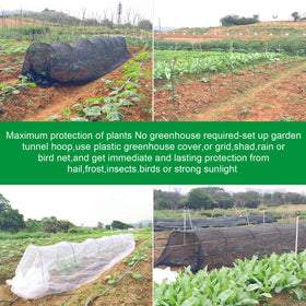 HighydroLED raised-bed plant support aids seedlings and vines