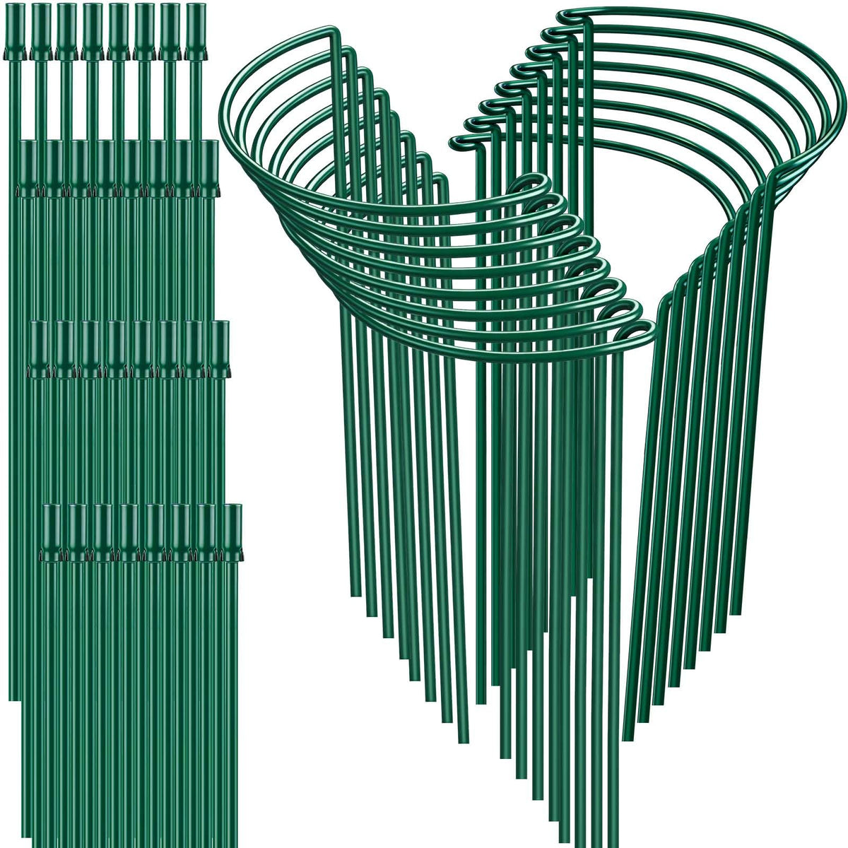 HiGift 16-inch half-round stake securing peonies and herbs with sturdy metal support.