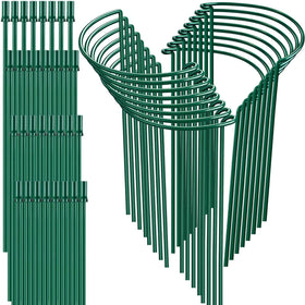 HiGift 16-inch half-round stake securing peonies and herbs with sturdy metal support.