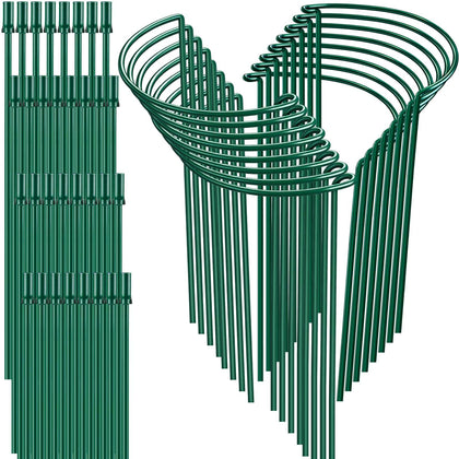 HiGift 16-inch half-round stake securing peonies and herbs with sturdy metal support.