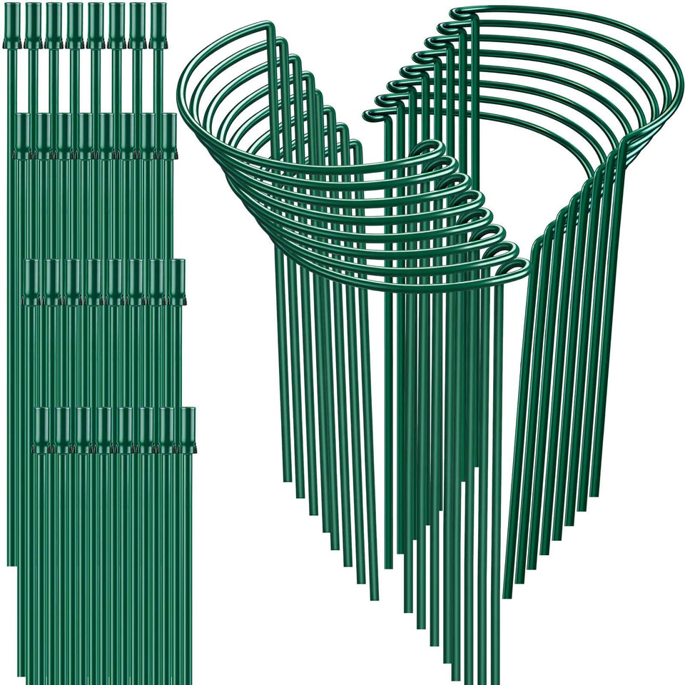 HiGift 16-inch half-round stake securing peonies and herbs with sturdy metal support.