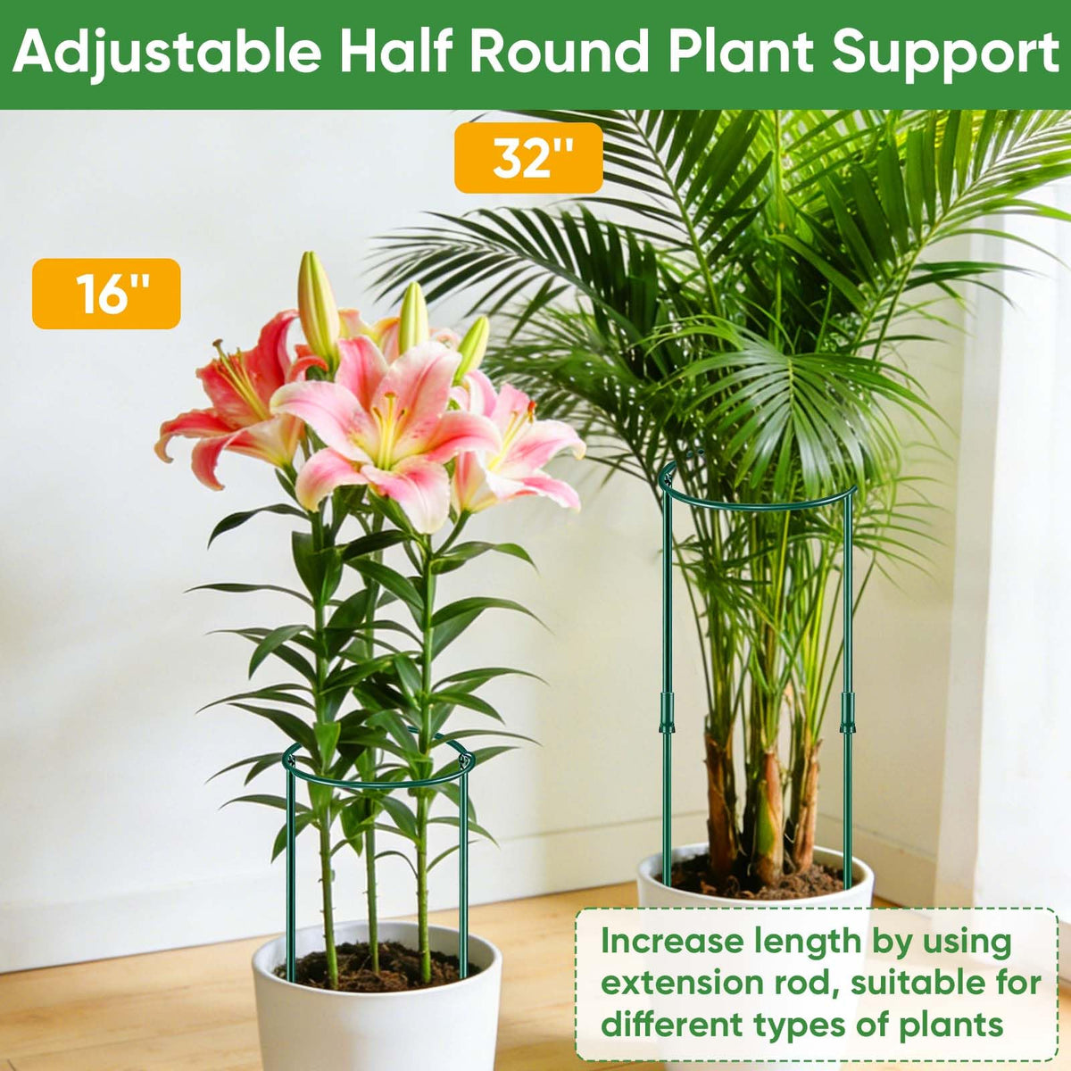 HiGift 32-inch high plant support providing sturdy stabilization for top-heavy blooms.