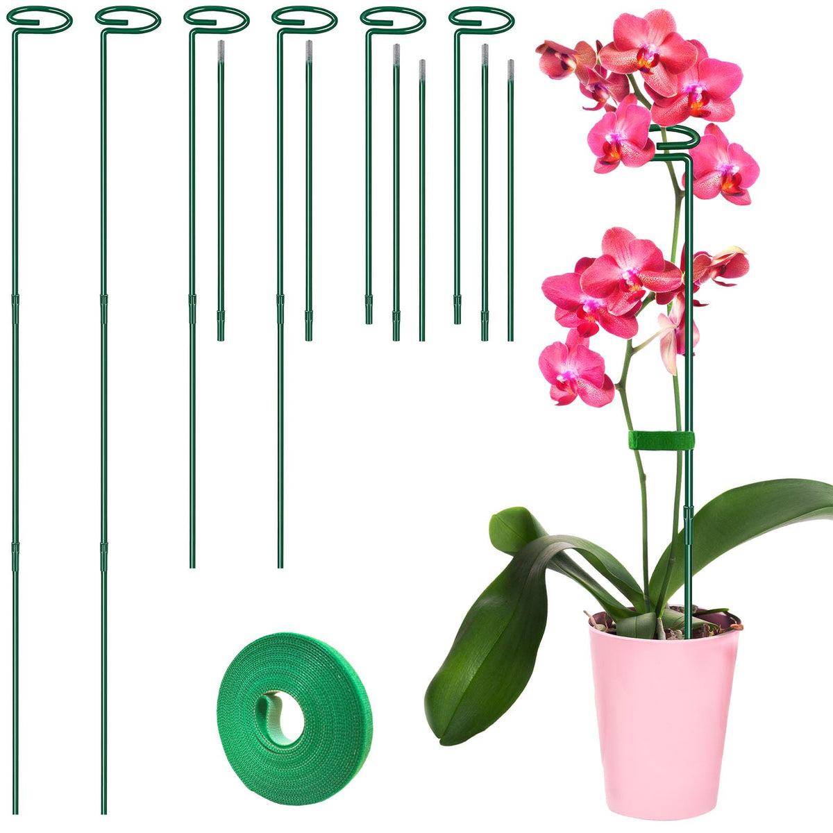 HiGift garden stake in use supports a thriving tomato plant.