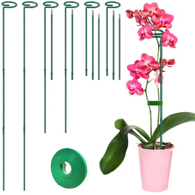 HiGift garden stake in use supports a thriving tomato plant.