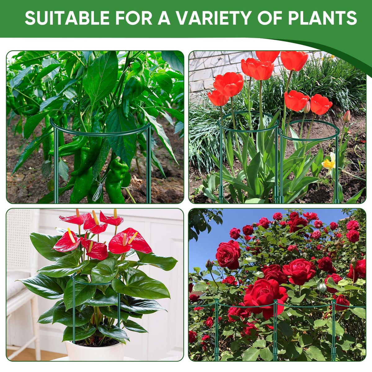 HiGift green powder-coated 4mm wire ensures durable, deformation-resistant garden stakes.