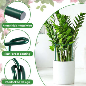 HiGift half-round peony stake in action keeps stems upright and resilient against wind.