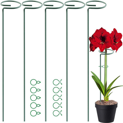 HiGift plant stake 40cm long for stable single-stem support.