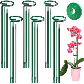 HiGift plant support stake at 12 inches supports a young tomato.