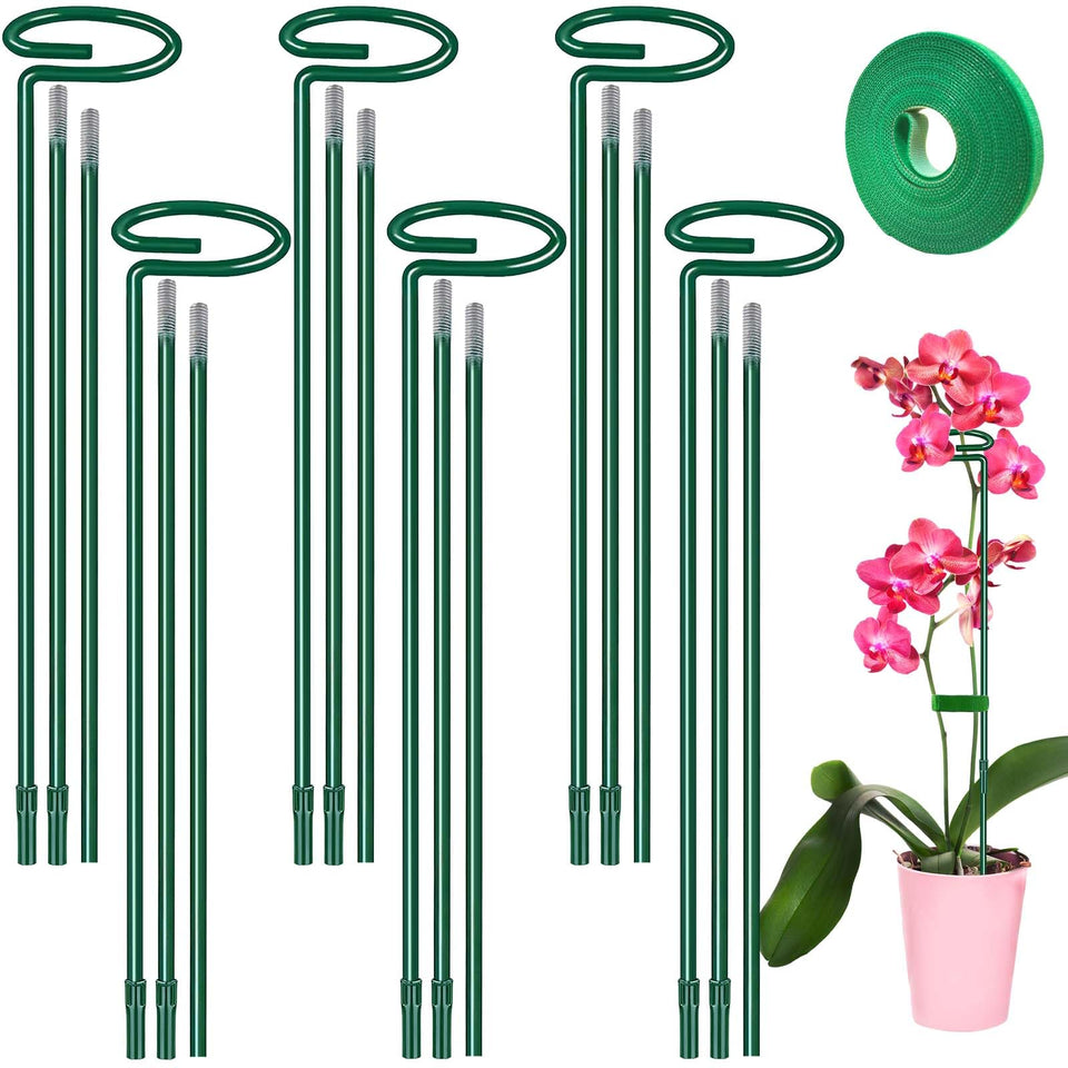 HiGift plant support stake at 12 inches supports a young tomato.