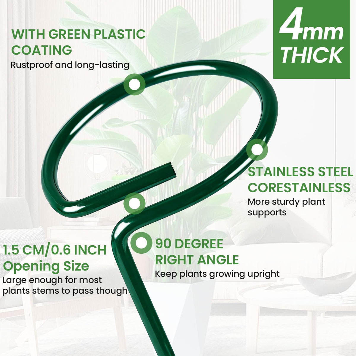 HiGift 36-inch stake supports tall stems against wind and heavy blooms.