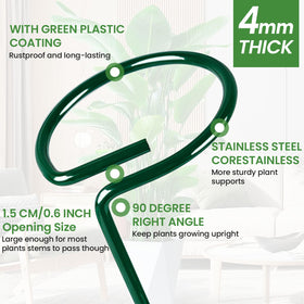 HiGift 36-inch stake supports tall stems against wind and heavy blooms.