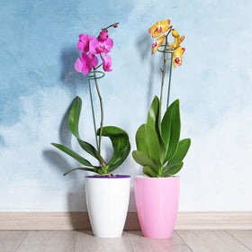 HiGift weather-resistant construction suitable for outdoor use.