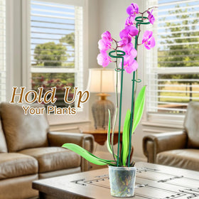HiGift vertical growth support keeps stems upright and tidy.
