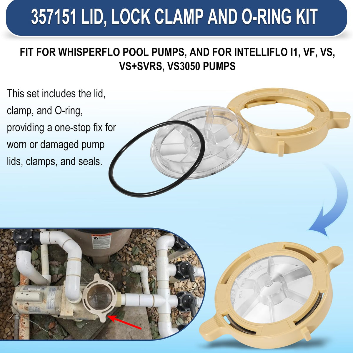 Hihitomorrow o-ring creates a leak-proof seal for reliable pump lid closure.