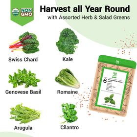 HiHOYA 600+ seeds herb collection with basil, cilantro, and greens for diverse harvests.