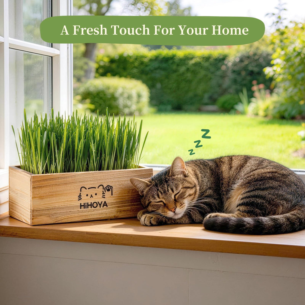 HiHOYA Cat Grass Kit mini-tool set for quick maintenance