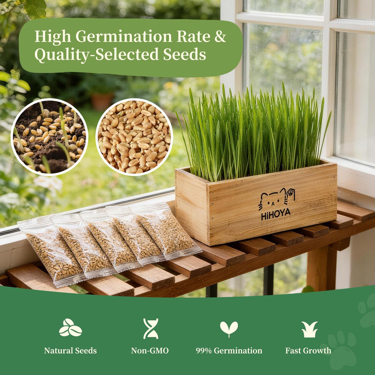 HiHOYA Cat Grass Kit pruning scissors keep planting tidy