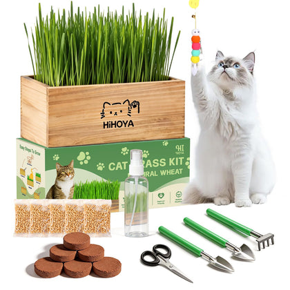HiHOYA Cat Grass Kit wooden planter enhances indoor aesthetics and safe nibbling