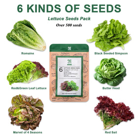 HiHOYA grow sponges designed for hydroponics provide optimal moisture balance