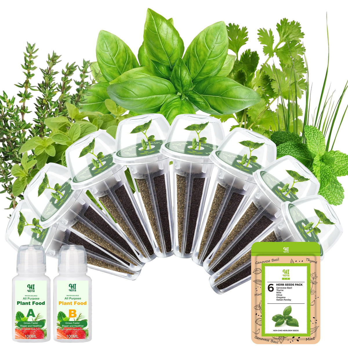 HiHOYA Genovese Basil seed pod kit ready for indoor hydroponic growth