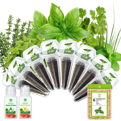 HiHOYA Genovese Basil seed pod kit ready for indoor hydroponic growth