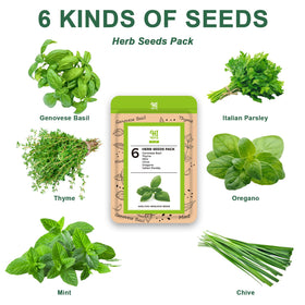HiHOYA Italian Parsley seed pod kit for fresh indoor herbs