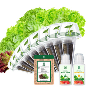 HiHOYA eight-pod lettuce seed kit ready for indoor hydroponics