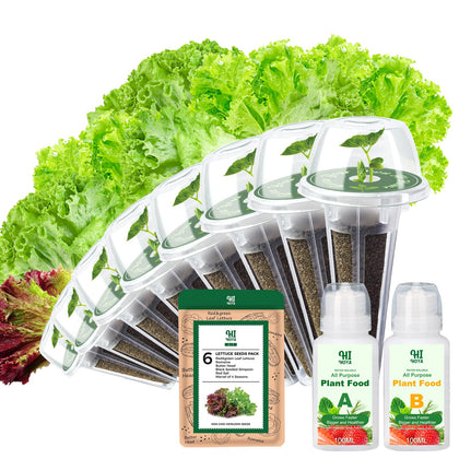 HiHOYA eight-pod lettuce seed kit ready for indoor hydroponics