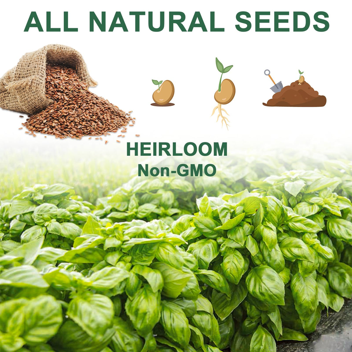 HiHOYA seed pod kit contents including domes, labels and plant food