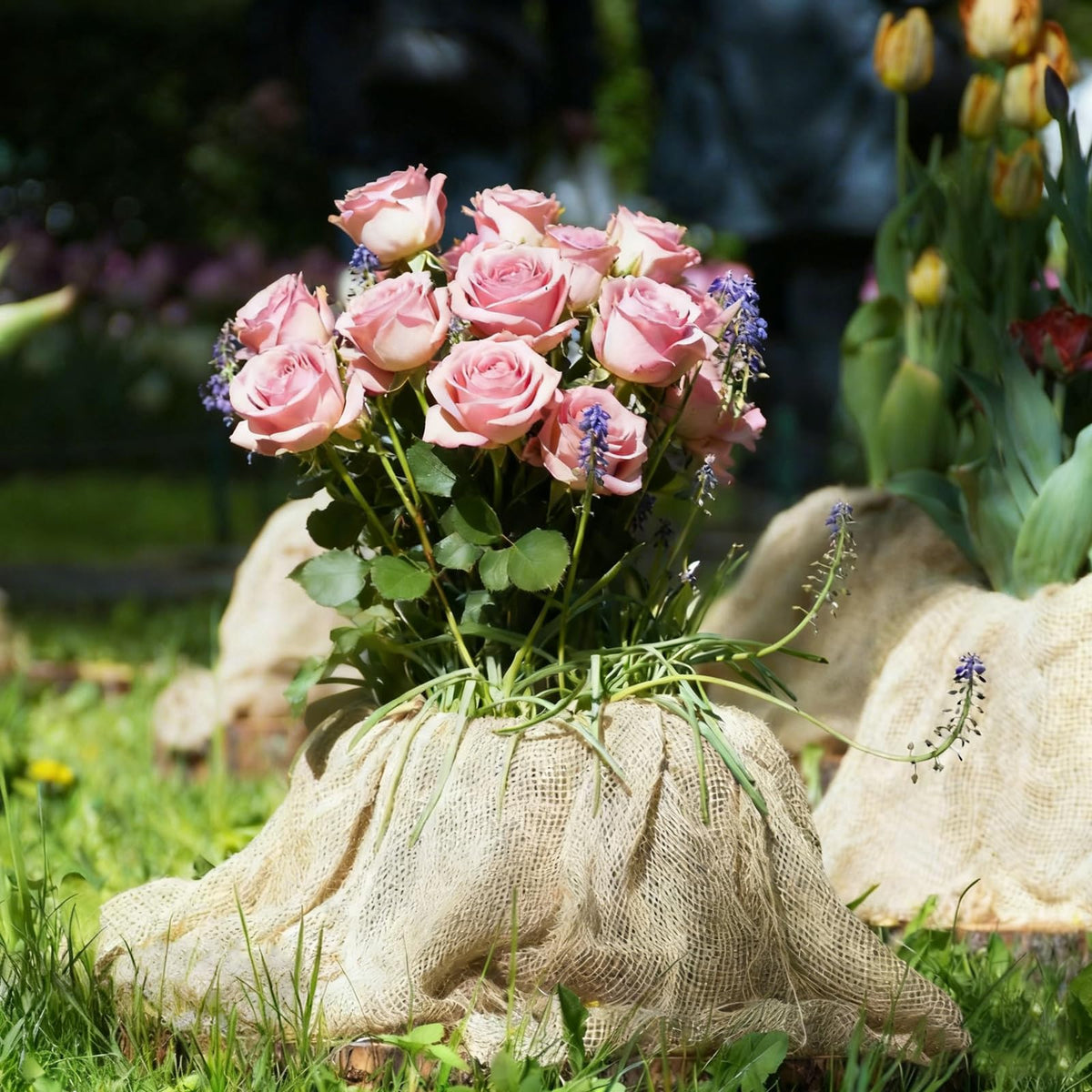 Himake ground-cover burlap protecting flowerbeds and lawns from frost and weeds.
