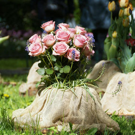 Himake ground-cover burlap protecting flowerbeds and lawns from frost and weeds.