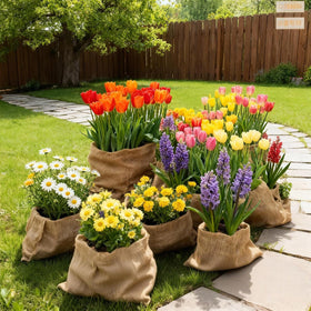 Himake weed barrier burlap suppresses weeds while letting soil breathe.