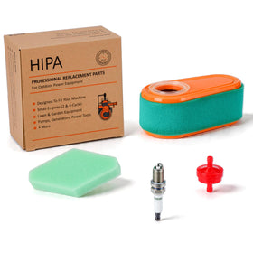 HIPA 795066 air cleaner for Briggs Stratton Timemaster supports better airflow and engine protection
