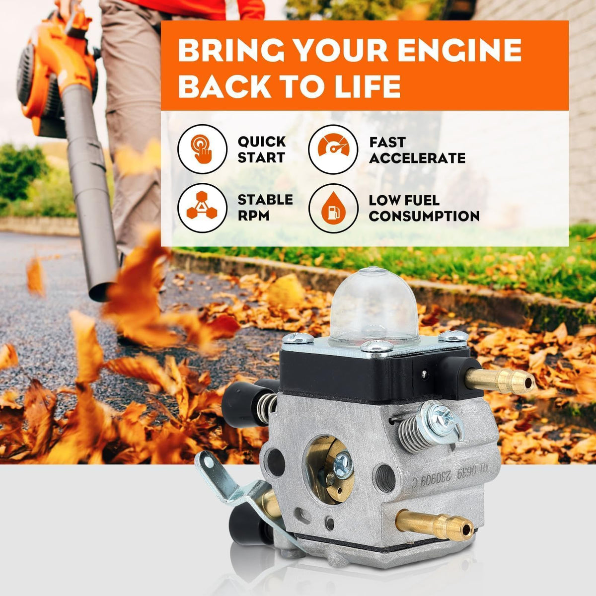Hipa BG55 carburetor in packaging shows ready-to-install unit.