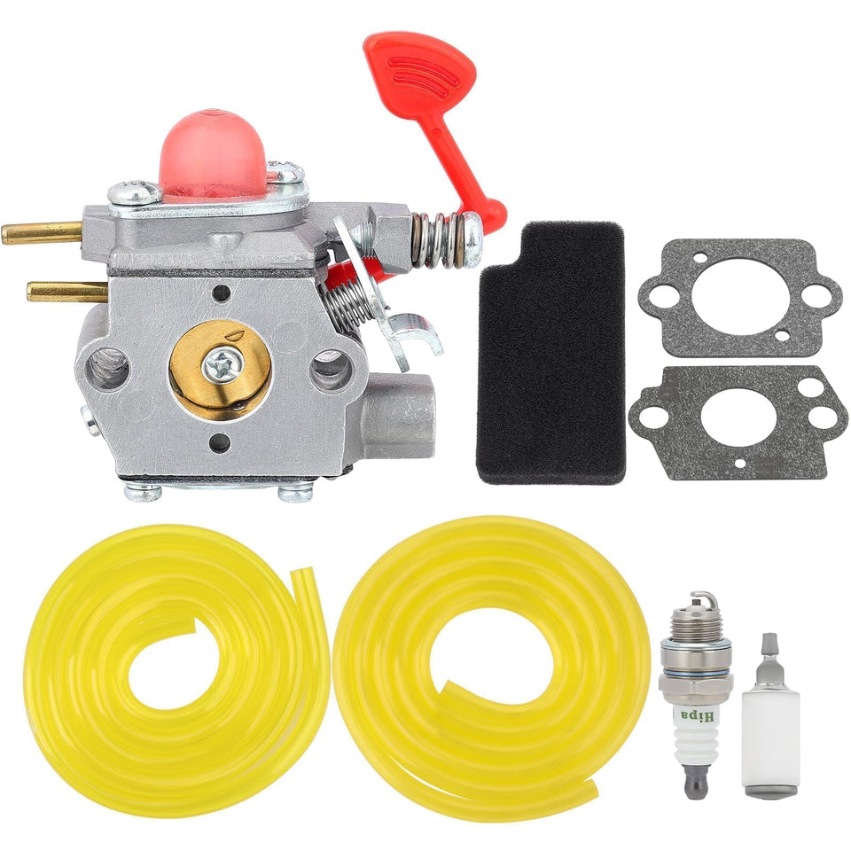 Hipa BVM200VS carburetor kit ready for maintenance, with core components shown.