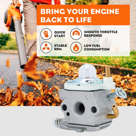 Hipa PB-250 spark plug provides reliable ignition for Echo PB-250 blower.