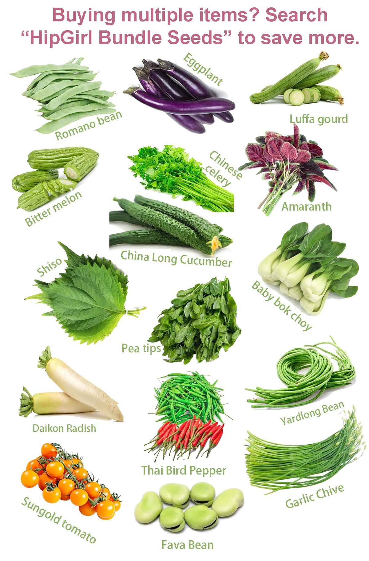 HipGirl 22-inch bean pods ideal for dramatic stir-fries and sautés.