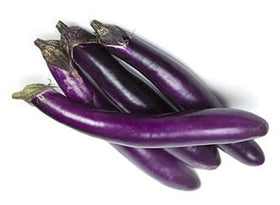 HipGirl Long Ping Tung eggplant fruit on vine for fresh harvest and slicing.