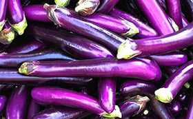 HipGirl Ping Tung eggplant seeds pack, premium non-GMO heirloom for home gardens.