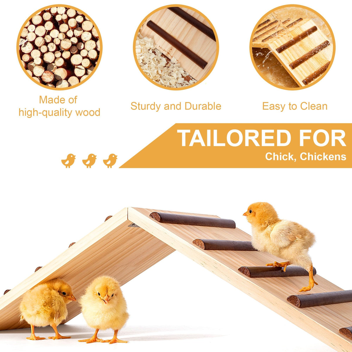 Hipykat chick perch trainer in natural wood for easy cleaning