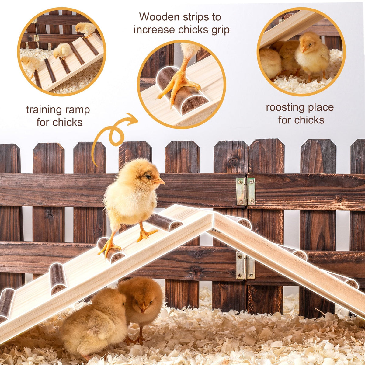 Hipykat chick roost ramp with simple setup for quick use