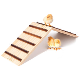 Hipykat chick roost ramp trainer with anti-slip strips supports safe climbing