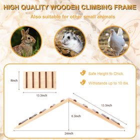 Hipykat chick roost trainer folds flat for storage