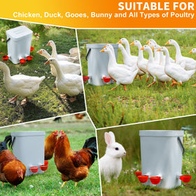 Hipykat chicken water dispenser in coop shows easy setup and tidy feeding area.