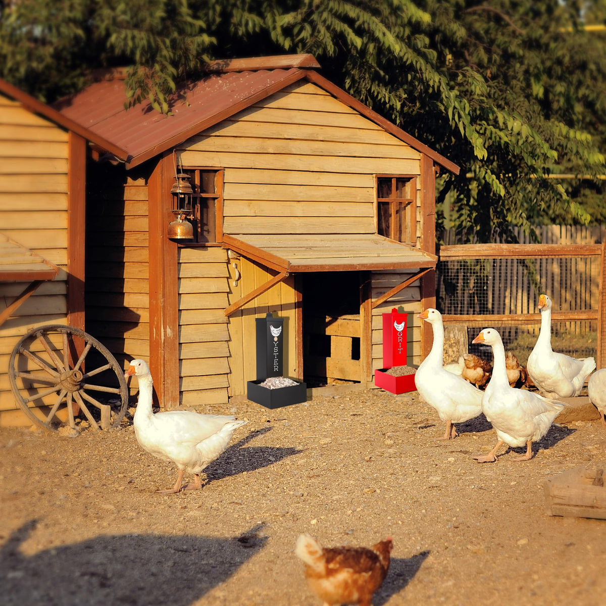 Hipykat complete feeder set combines grit and shell in one unit.