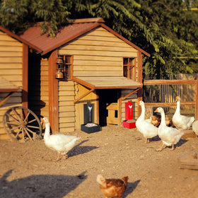 Hipykat complete feeder set combines grit and shell in one unit.