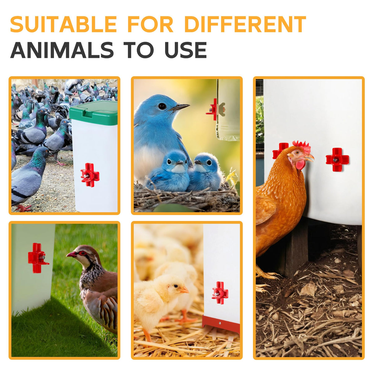 Hipykat gravity poultry watering system components for simple flock hydration