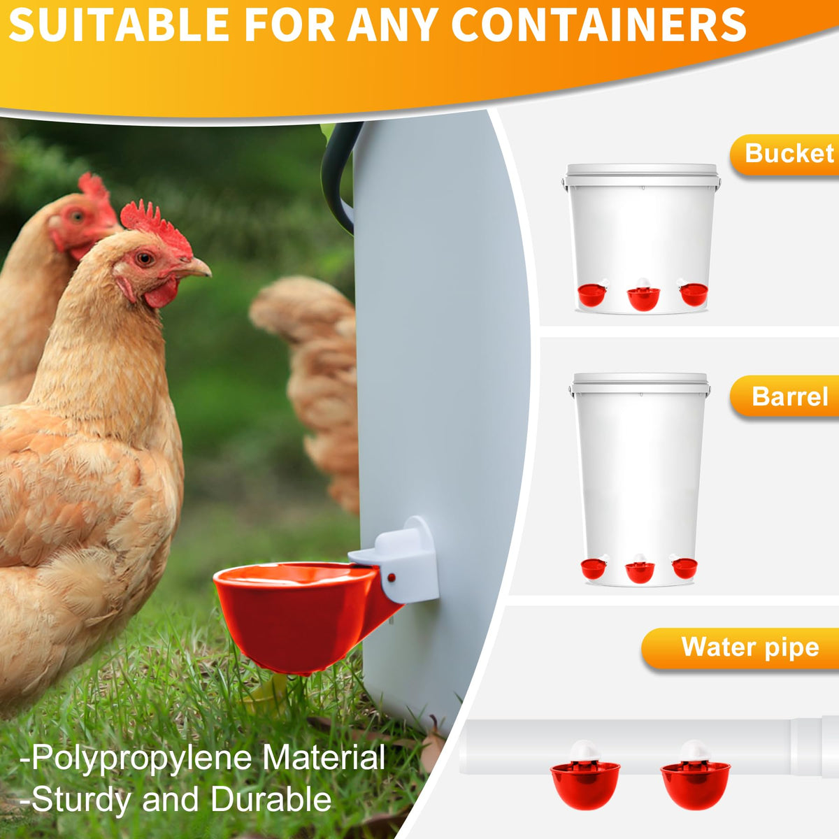 Hipykat gravity poultry watering system suitable for hens, ducks, geese, and turkeys.