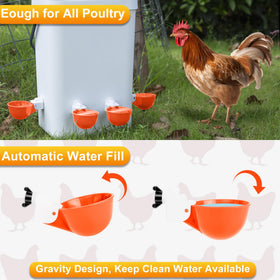 Hipykat leak-free design keeps water clean and steady in the coop